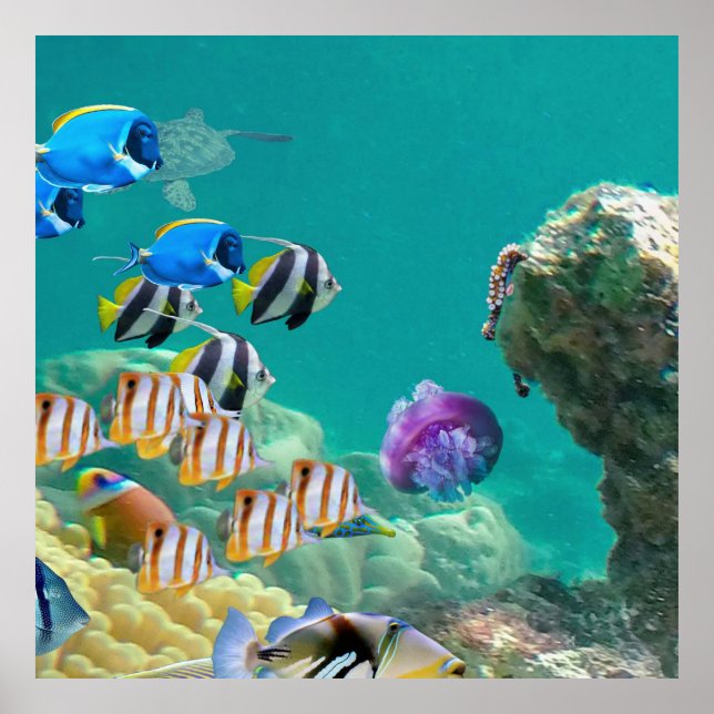 Not Just Tropical Fish Live On Coral Reefs Poster (Front)