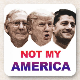 Not My America Coaster
