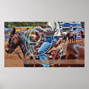 Not My First Rodeo Poster