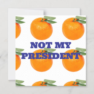 NOT MY PRESIDENT MAGNET