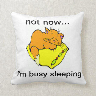 NOT NOW...I'M BUSY SLEEPING THROW PILLOW