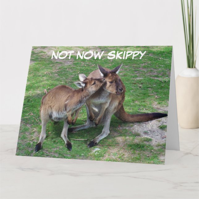Not Now Skippy Blank Greeting Card (Front)