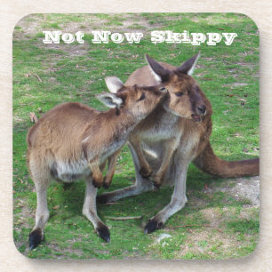 Not Now Skippy Coaster