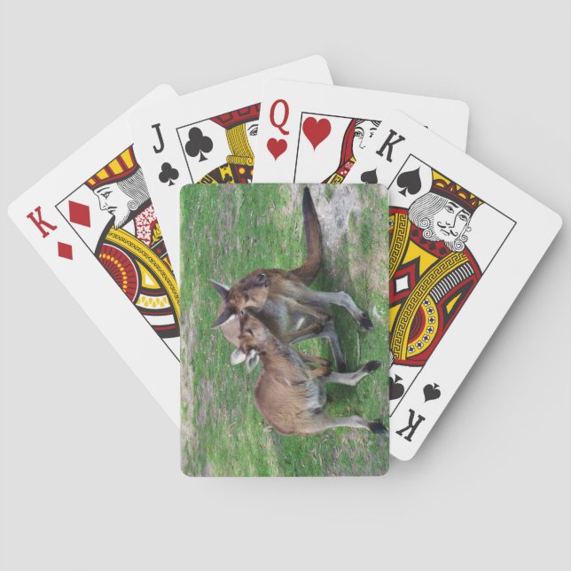 Not Now Skippy Playing Cards (Back)