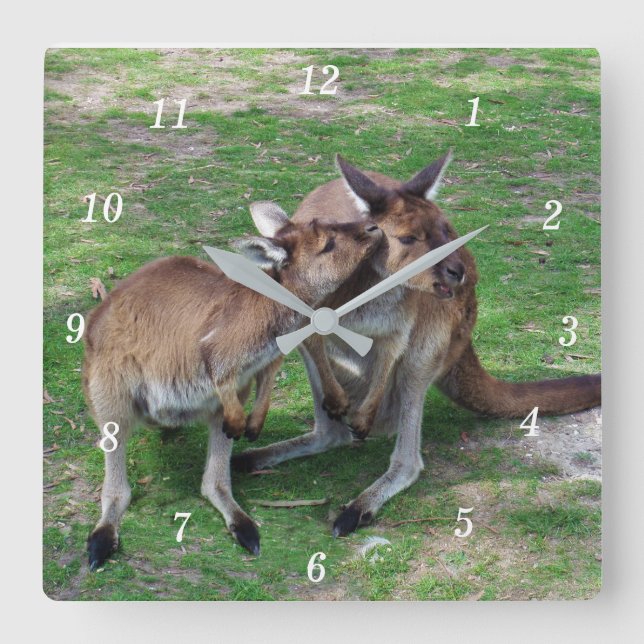 Not Now Skippy Square Wall Clock (Front)