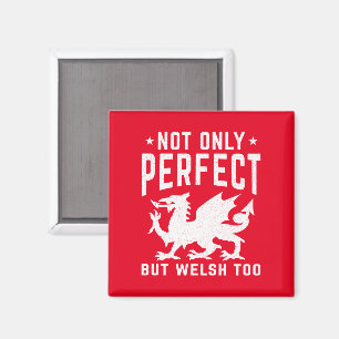 Not Only Perfect But Welsh Too Funny Wales Magnet