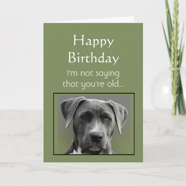Cute Dog Sayings Cards Greeting Cards More Zazzle CA