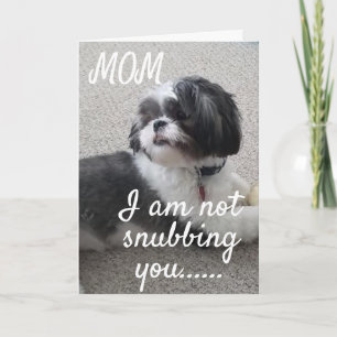 **NOT SNUBBING YOU MOM BUT WISHING U BIRTHDAY" CARD