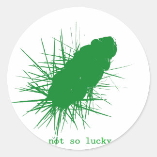 not so lucky Cholla Classic Round Sticker