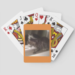 Not Talking to you Dave Bicycle Playing Cards