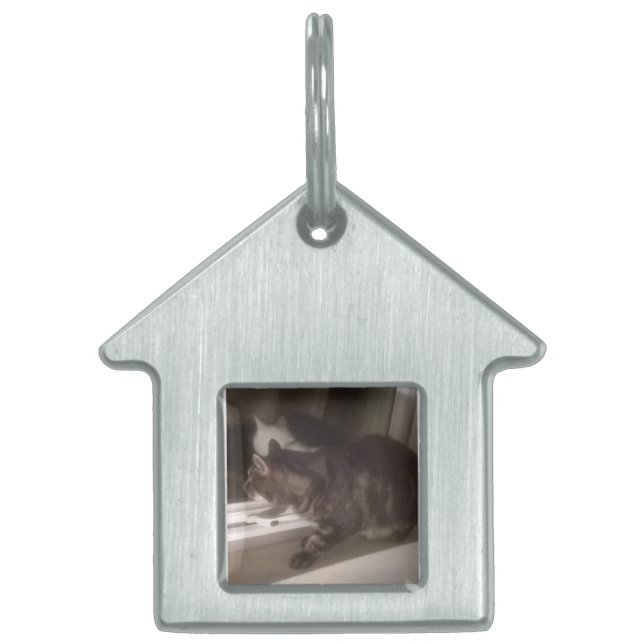 Not Talking to you Dave House Pet Tag (Front)