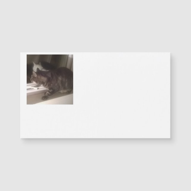 Not Talking to you Dave Magnetic Business Cards (Front)