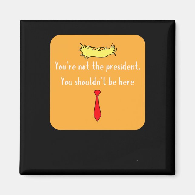 Not The President  Magnet (Front)