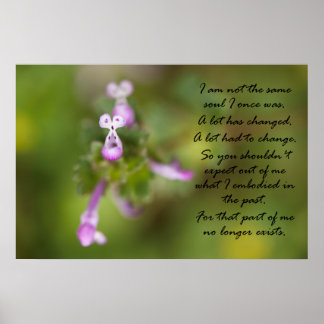 Not the Same Soul Poster