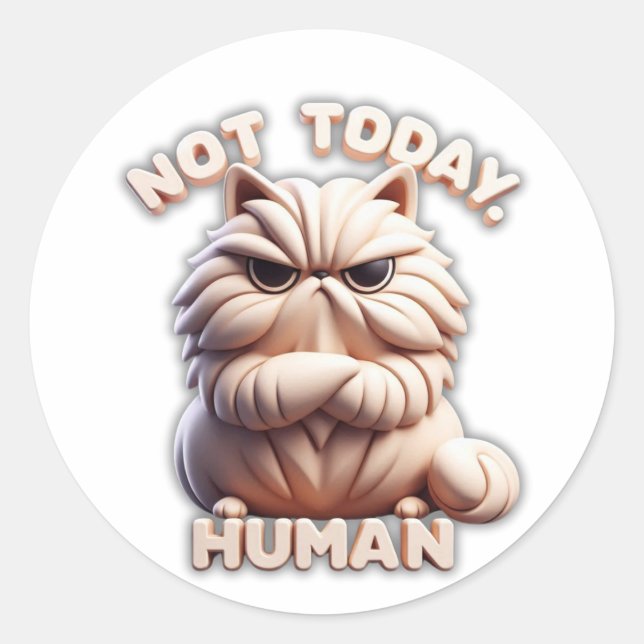 Not Today Human Grumpy Cat Craft Sticker (Front)