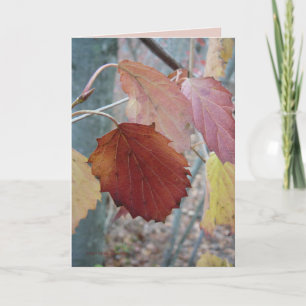 Not Yet Fallen Card
