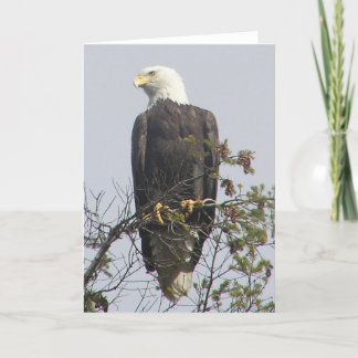Note card