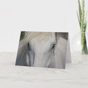 Note Card