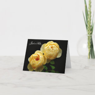 Note Card