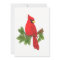 Note card, cardinal, blank,