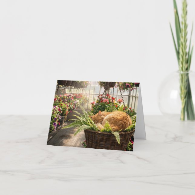Note Card Cat Napping in Hanging Fern Basket (Front)