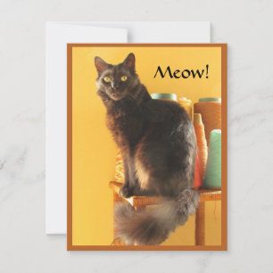 Note Card – Crafty Cat
