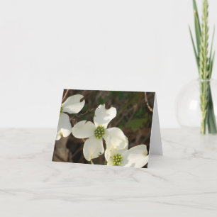Note Card Dogwoods