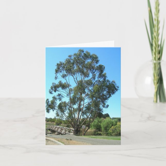 Note Card - Eucalyptus at bridge (Front)