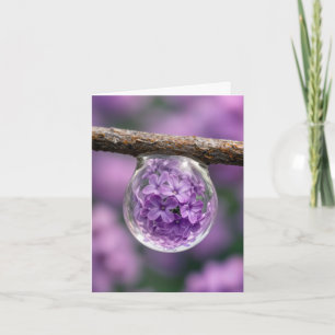 Note Card Lilac Blossom Reflected in Raindrop