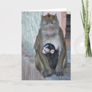 Note Card- Macaque Monkey and baby - Subic Bay Card