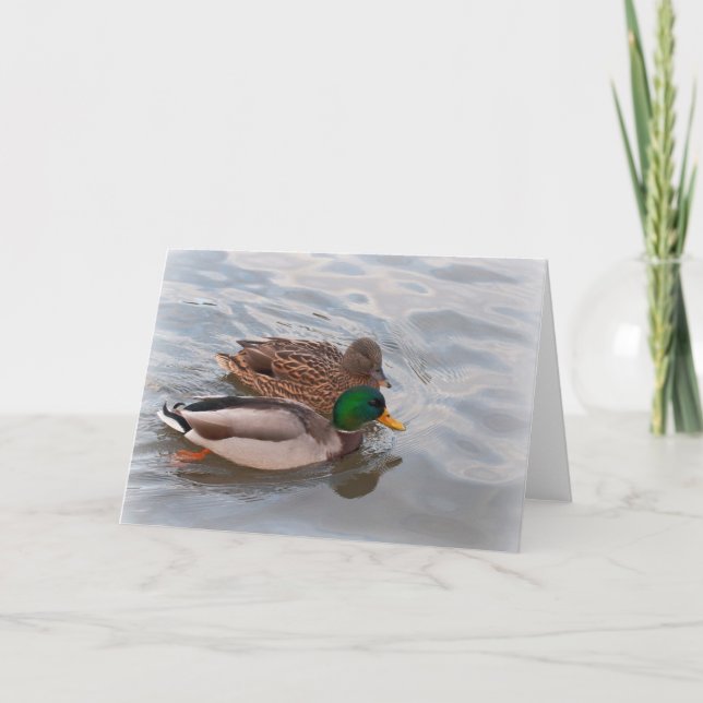 Note Card: Mallard Ducks Card (Front)