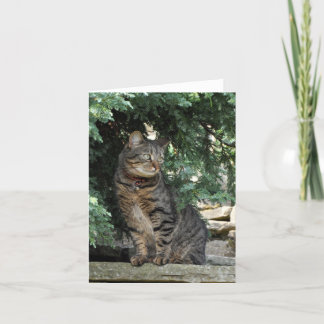 Note Card: Minnie Card