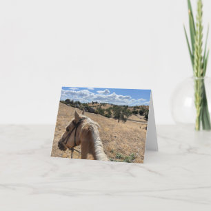Note Card, Palomino Horse and Blue Sky Card