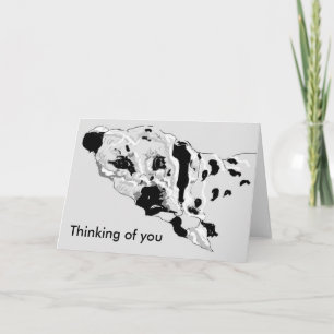 Note Card/thinking of You Drawing of a Dalmatian Card
