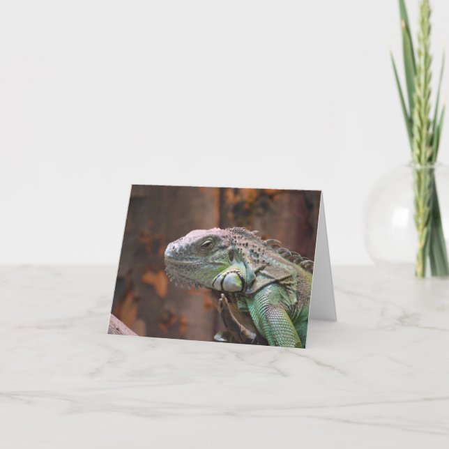 Note Card with colorful Iguana lizard (Front)
