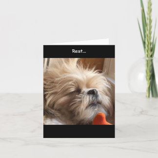 Note Cards / Amazing Grace & Glory Bea