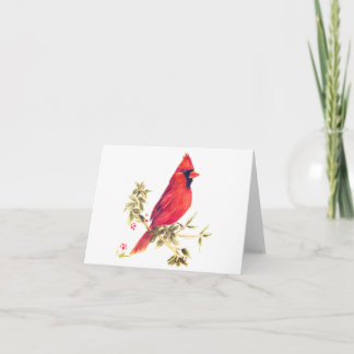 Note Cards-Male Cardinal Note Card