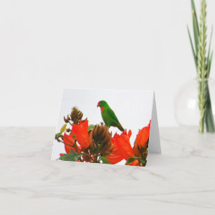 Note cards wtih exotic parrot on orange flowers