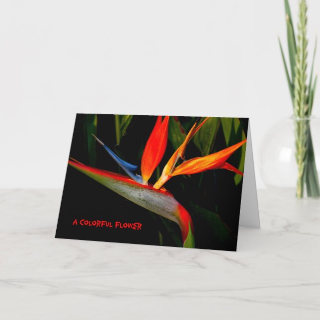 Note Carte Oiseau coloré du paradis (Devant)