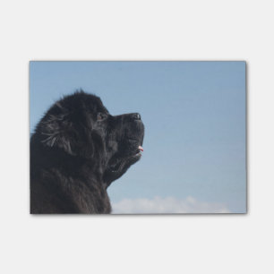 Note de post-it réfléchie d'Inka