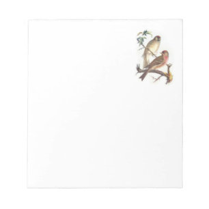 Note Pad with Beautiful Birds