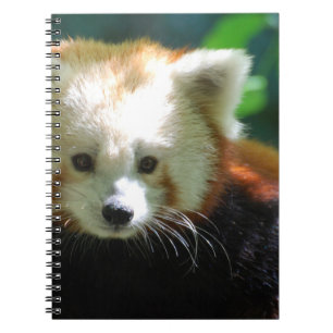 Notebook - Customized