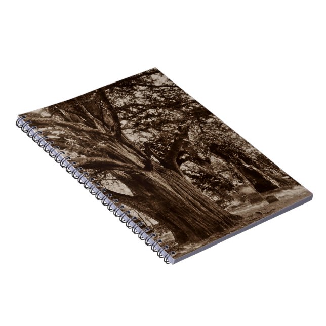 Notebook Journal Genealogy Graveyard Yew Stones (Right Side)