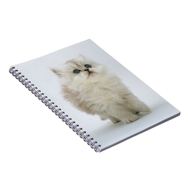 Notebook-Kitten Notebook (Right Side)