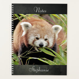 notebook Photo red panda , animals 02. notebook Planner