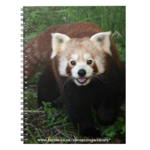 notebook - red panda