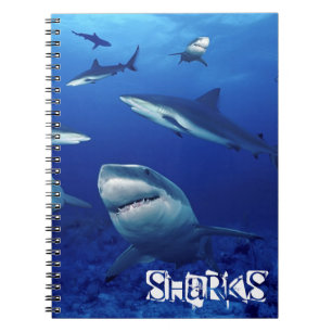 Notebook-Sharks Notebook