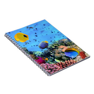 Notebook-Tropical Fish Notebook