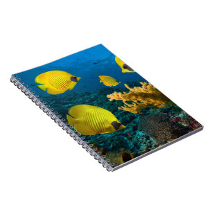 Notebook-Tropical Fish Notebook