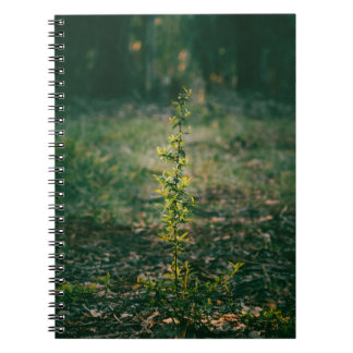 Notebook with nature photography